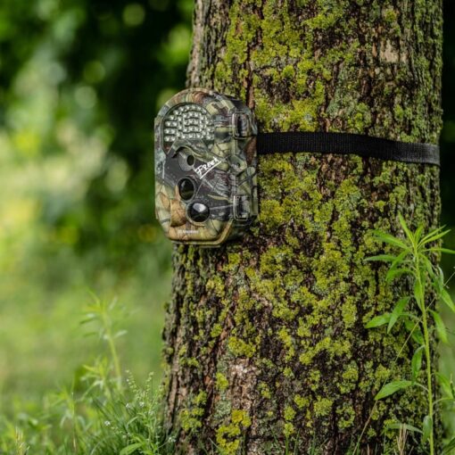 Freek Vonk Wildcamera
