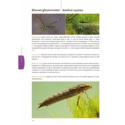 KNNV Handboek Libellenlarven en hun huidjes