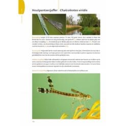 KNNV Handboek Libellenlarven en hun huidjes