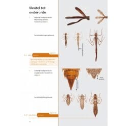 KNNV Handboek Libellenlarven en hun huidjes