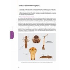 KNNV Handboek Libellenlarven en hun huidjes