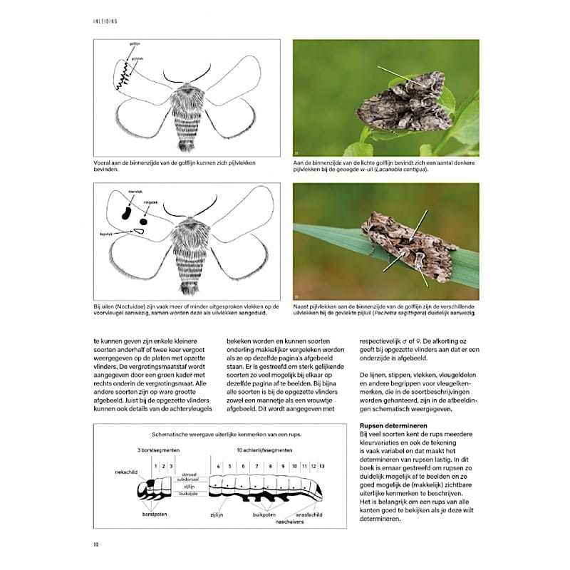 KNNV Het Nachtvlinderboek