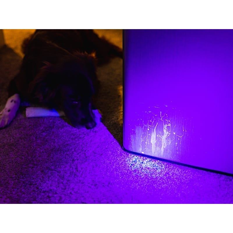 Nebo Torchy UVA zaklamp