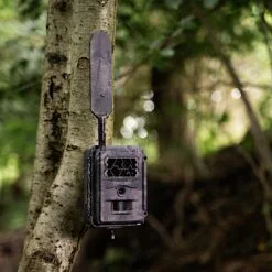 seissiger wildcamera base cam lte supersim editie 1