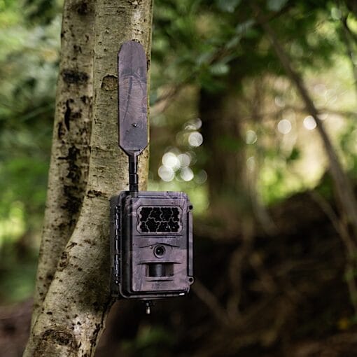 seissiger wildcamera base cam lte supersim editie 1