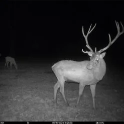 seissiger wildcamera pro cam lte supersim editie 1