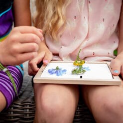 kikkerland huckleberry gedroogde bloemen frame 4