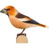 decobird houten vogel appelvink 6