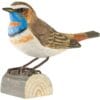 decobird houten vogel blauwborst 2