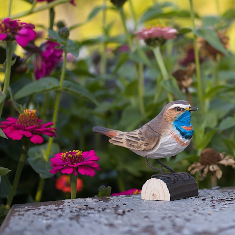 decobird houten vogel blauwborst 3