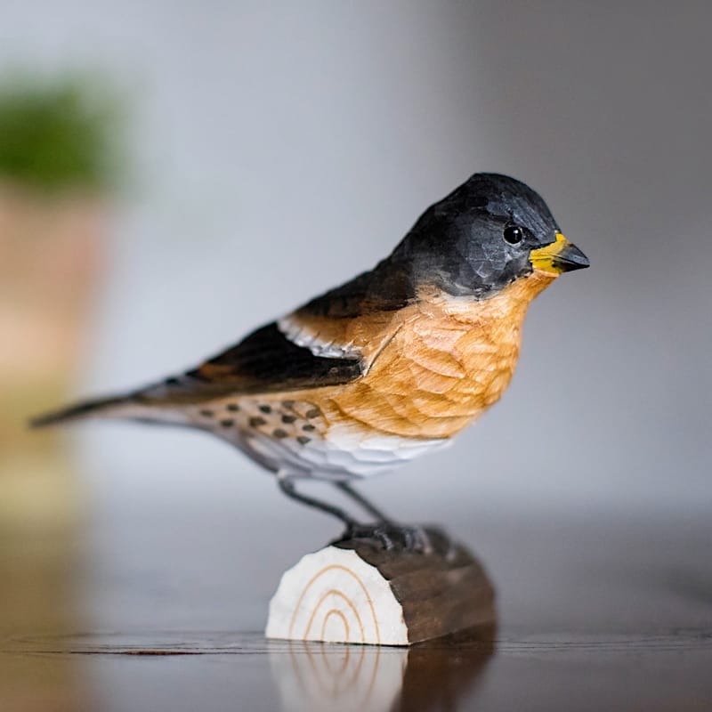 decobird houten vogel keep 3
