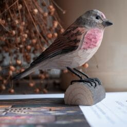 decobird houten vogel kneu 3