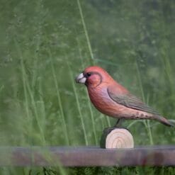 decobird houten vogel kruisbek 1
