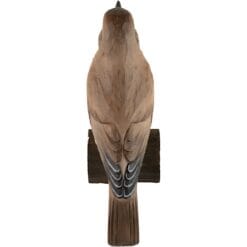 decobird houten vogel zanglijster 3