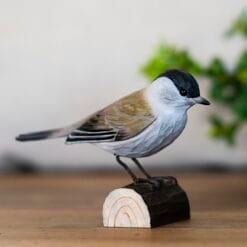 decobird houten vogel zwartkop 6