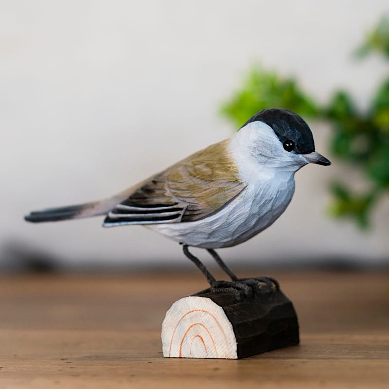 decobird houten vogel zwartkop 6