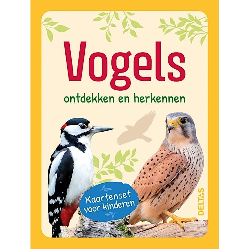 kaartenset voor kinderen ontdekken en herkennen