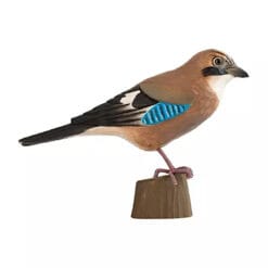 decobird houten vogel gaai 2