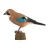 decobird houten vogel gaai 3