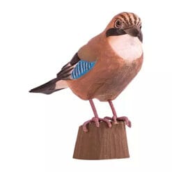 decobird houten vogel gaai 4