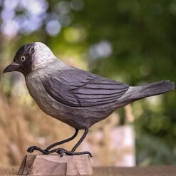 decobird houten vogel kauw 1