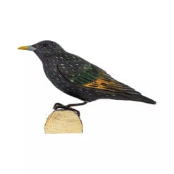 decobird houten vogel spreeuw 2