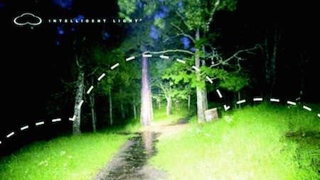 silva intelligent light