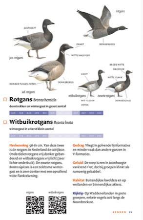 zakgids vogels van nederland en belgie