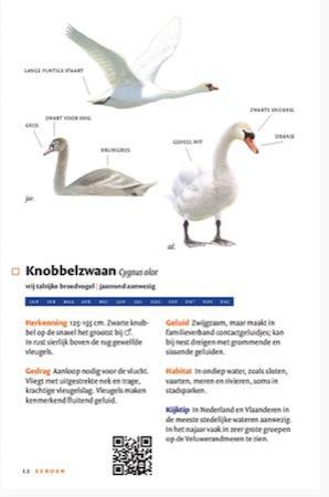 zakgids vogels van nederland en belgie2